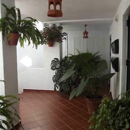 Apartamento En Conil 科尼尔-德拉弗龙特拉 外观 照片