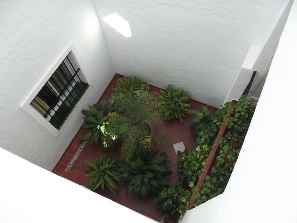 Apartamento En Conil 科尼尔-德拉弗龙特拉 外观 照片